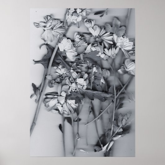 Bloemen in zwart en wit poster (Voorkant)