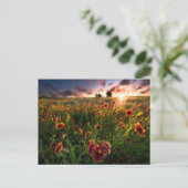 Bloemen | Indian Blanket Wildflower Texas Briefkaart (Staand voorkant)