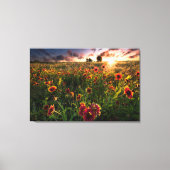 Bloemen | Indian Blanket Wildflower Texas Canvas Afdruk (Voorkant)