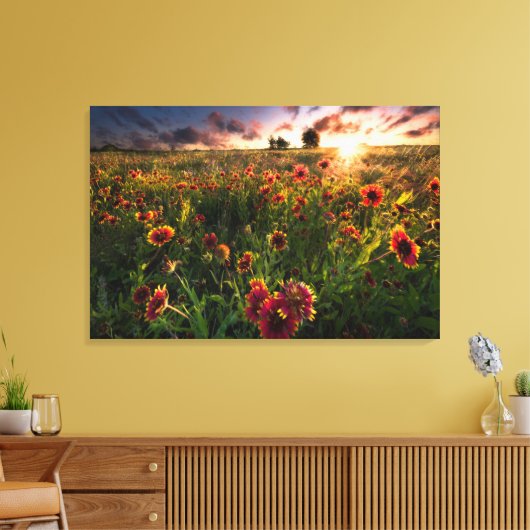 Bloemen | Indian Blanket Wildflower Texas Canvas Afdruk (Insitu (Woonkamer))