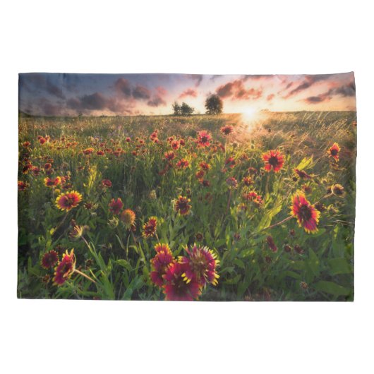 Bloemen | Indian Blanket Wildflower Texas Kussensloop (Achterkant)