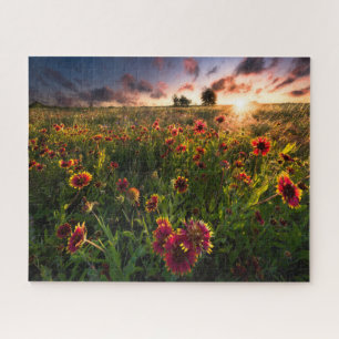 Bloemen   Indian Blanket Wildflower Texas Legpuzzel