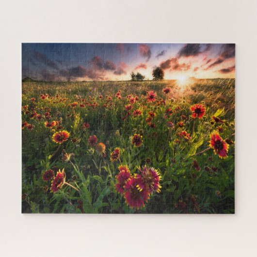 Bloemen | Indian Blanket Wildflower Texas Legpuzzel (Horizontaal)