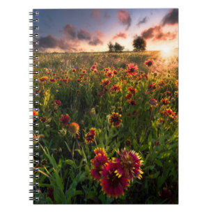 Bloemen Indian Blanket Wildflower Texas Notitieboek