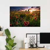 Bloemen | Indian Blanket Wildflower Texas Poster (Thuiskantoor)