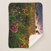 Bloemen | Indian Blanket Wildflower Texas Sherpa Deken (Voorkant)