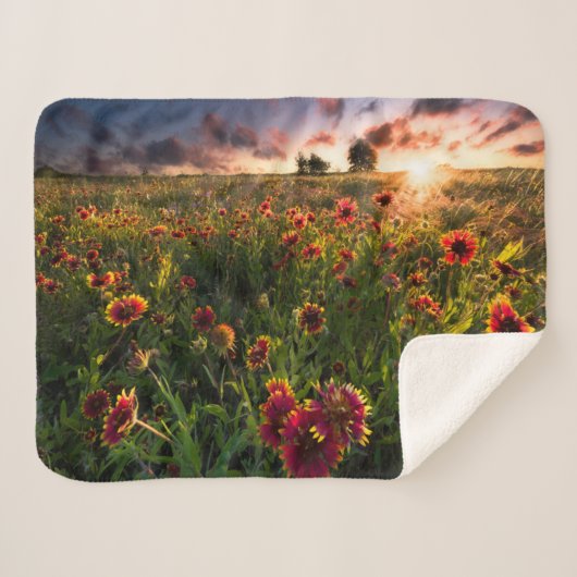 Bloemen | Indian Blanket Wildflower Texas Sherpa Deken (Voorkant (horizontaal))