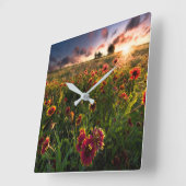 Bloemen | Indian Blanket Wildflower Texas Vierkante Klok (Hoek)