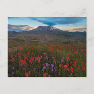 Bloemen Indische penseel en penseel Briefkaart