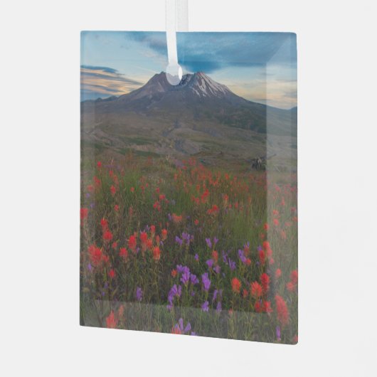 Bloemen | Indische penseel en penseel Glas Ornament (Voorkant links)