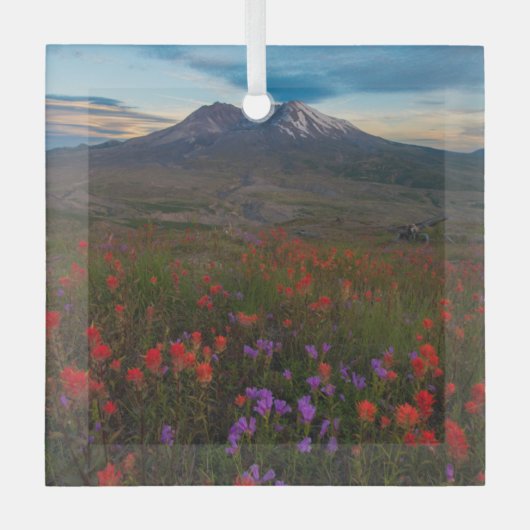 Bloemen | Indische penseel en penseel Glas Ornament (Voorkant)