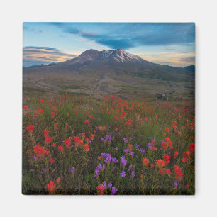Bloemen Indische penseel en penseel Magneet