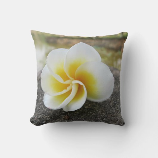 Bloemen, insecten, japans, azian, chinees, oud +fa kussen (Voorkant)