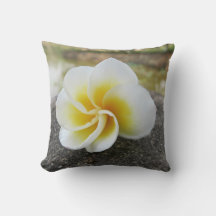 Bloemen, insecten, Japans, Aziatisch, Chinees, oud