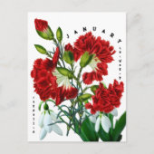 Bloemen januari maand Anemoon Anjer Briefkaart (Voorkant)