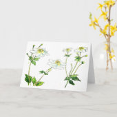 Bloemen - Japanse Anenomes Kaart (Gele Bloem)