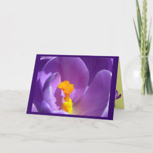 Bloemen Kaarten Crocus Flowers Aangepast Wenskaart