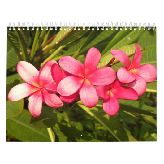 Bloemen Kalender (Hoes)