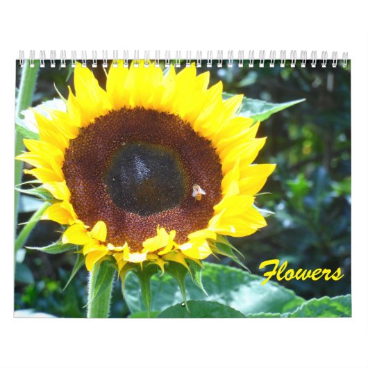 Bloemen Kalender (Hoes)
