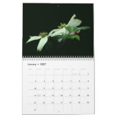 Bloemen  kalender (Jan 2027)