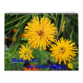 Bloemen Kalender (Hoes)