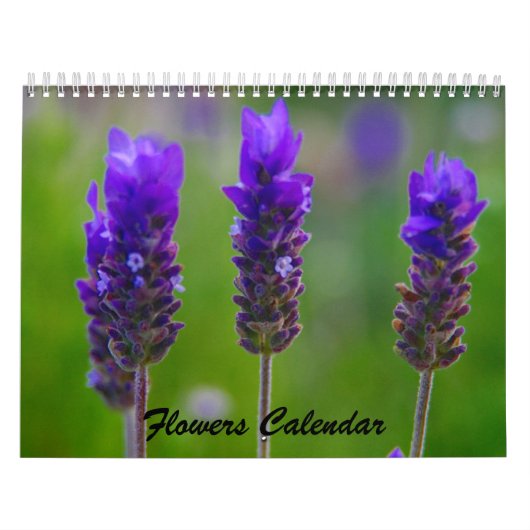 bloemen kalender 2009 (Hoes)