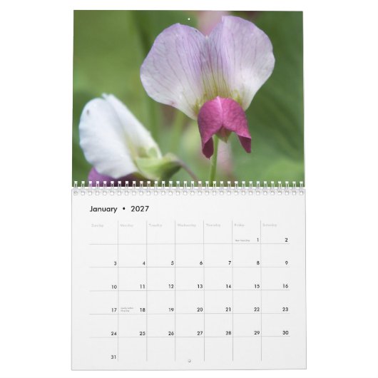 BLOEMEN KALENDER 2013 (16 MAANDEN) (Jan 2027)