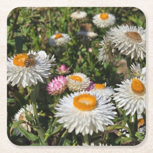 Bloemen Kartonnen Onderzetters (Voorkant)