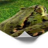 bloemen kat van kikker van afbeelding poster natur (Hoek)