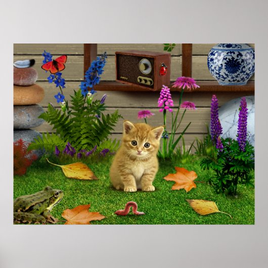 bloemen kat van kikker van afbeelding poster natur (Voorkant)