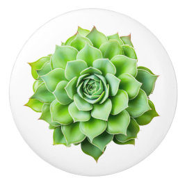 Bloemen keramische knoppen