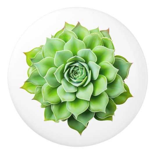 Bloemen keramische knoppen (Voorkant)