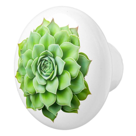 Bloemen keramische knoppen (Rechts)