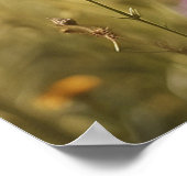 *~*  Bloemen Kitty 5:4  Kitten Kat Vlinder AP68 Poster (Hoek)