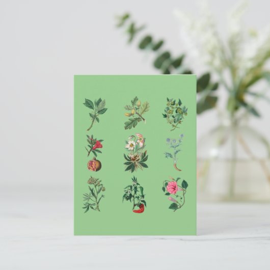 Bloemen, kleurrijke vruchten en afbeelding van gro briefkaart (Staand voorkant)
