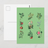 Bloemen, kleurrijke vruchten en afbeelding van gro briefkaart (Voorkant / Achterkant)
