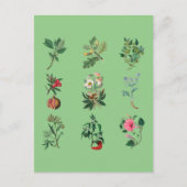 Bloemen, kleurrijke vruchten en afbeelding van gro briefkaart (Voorkant)