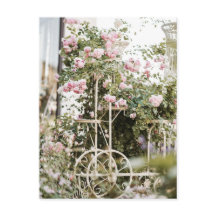 Bloemen Klimmen Rozen Briefkaart