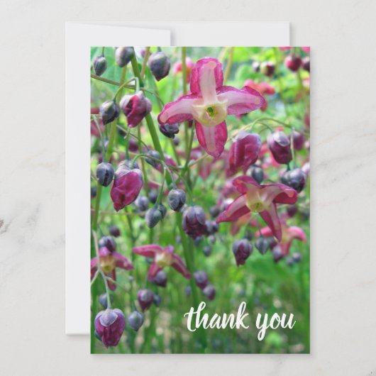  bloemen & knoppen Foto Afstuderen Dank u Aankondiging (Voorkant)