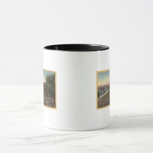 Bloemen langs East Ocean Avenue Mok (Midden)