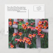 Bloemen langs het hek briefkaart (Voorkant / Achterkant)