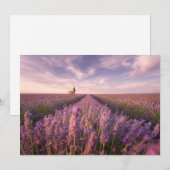 Bloemen | Lavender Southern France Bedankkaart (Voorkant / Achterkant)