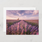 Bloemen | Lavender Southern France Briefkaart (Voorkant / Achterkant)