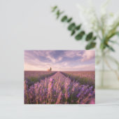 Bloemen | Lavender Southern France Briefkaart (Staand voorkant)
