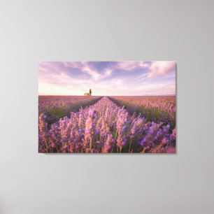 Bloemen   Lavender Southern France Canvas Afdruk