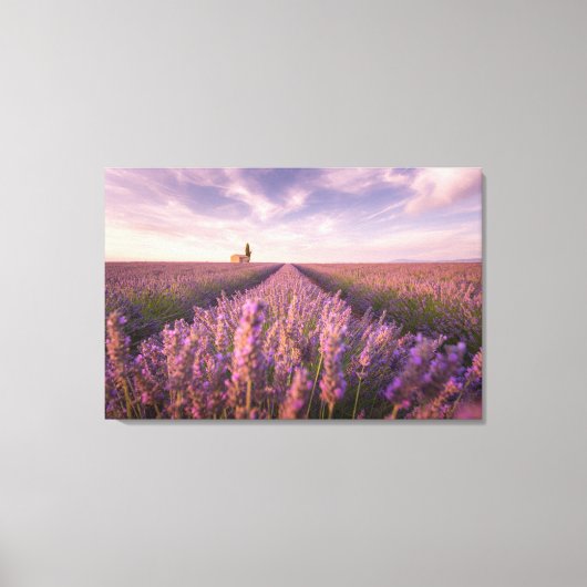 Bloemen | Lavender Southern France Canvas Afdruk (Voorkant)