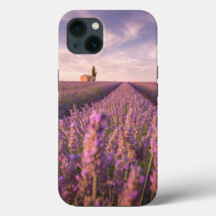 Bloemen   Lavender Southern France Case-Mate iPhone Case
