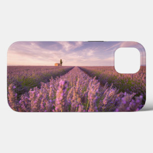 Bloemen   Lavender Southern France Case-Mate iPhone Case