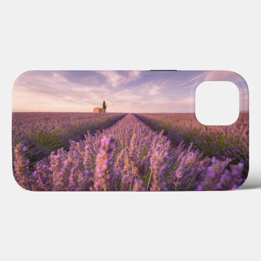 Bloemen | Lavender Southern France Case-Mate iPhone Case (Achterkant (horizontaal))