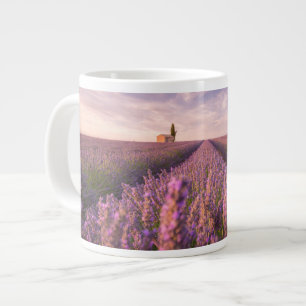 Bloemen Lavender Southern France Grote Koffiekop
